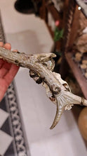 Load image into Gallery viewer, Spirit of the Wild Skull &amp; Crystal Wand Buddha padmasana
