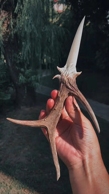 Wildwood Antler Ritual Dagger Buddha padmasana