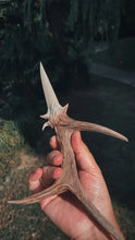 Load image into Gallery viewer, Wildwood Antler Ritual Dagger Buddha padmasana