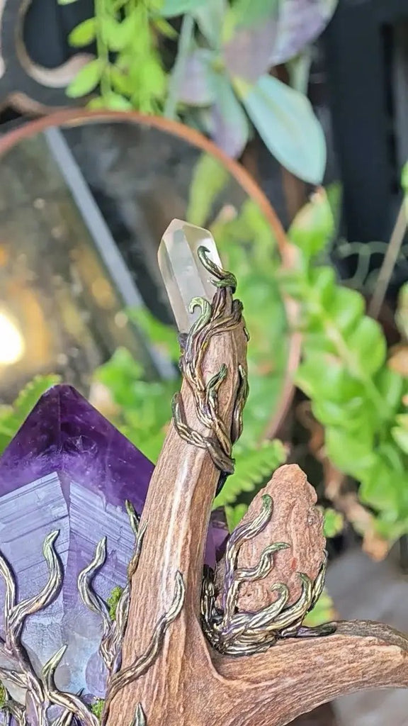 Resonance with All Amethyst Antler Spiritual Scepter Buddha padmasana