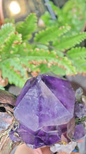 Load image into Gallery viewer, Thornmoon Amethyst Antler Scepter