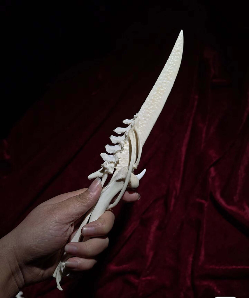 Handcrafted Bone Ritual Dagger, ethically sourced natural bone carving for witchcraft, Wicca, cosplay, gothic home decor, and occult collections. Custom orders available.