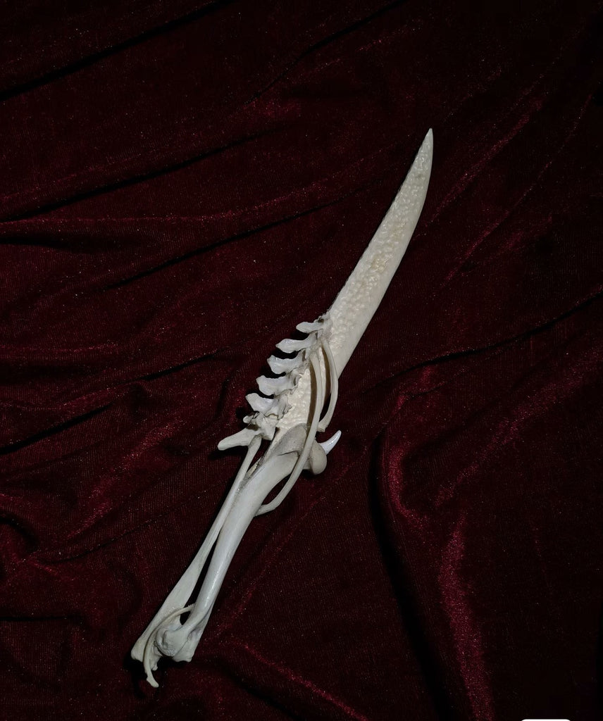 Handcrafted Bone Ritual Dagger, ethically sourced natural bone carving for witchcraft, Wicca, cosplay, gothic home decor, and occult collections. Custom orders available.