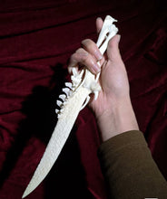 Cargar imagen en el visor de la galería, Handcrafted Bone Ritual Dagger, ethically sourced natural bone carving for witchcraft, Wicca, cosplay, gothic home decor, and occult collections. Custom orders available.